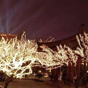 桃花从树上飘下