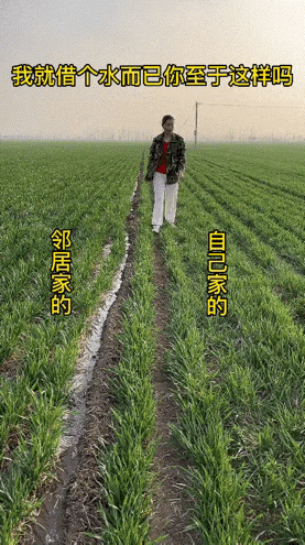都是一家人，
肥水不流外人田。