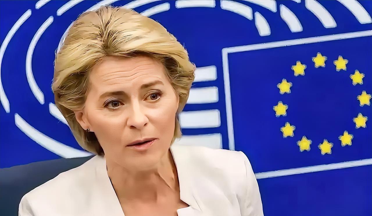 欧盟双标现场：芬兰教授灵魂拷问冯德莱恩，全场哑口无言
​​一场欧盟会议上，芬兰教