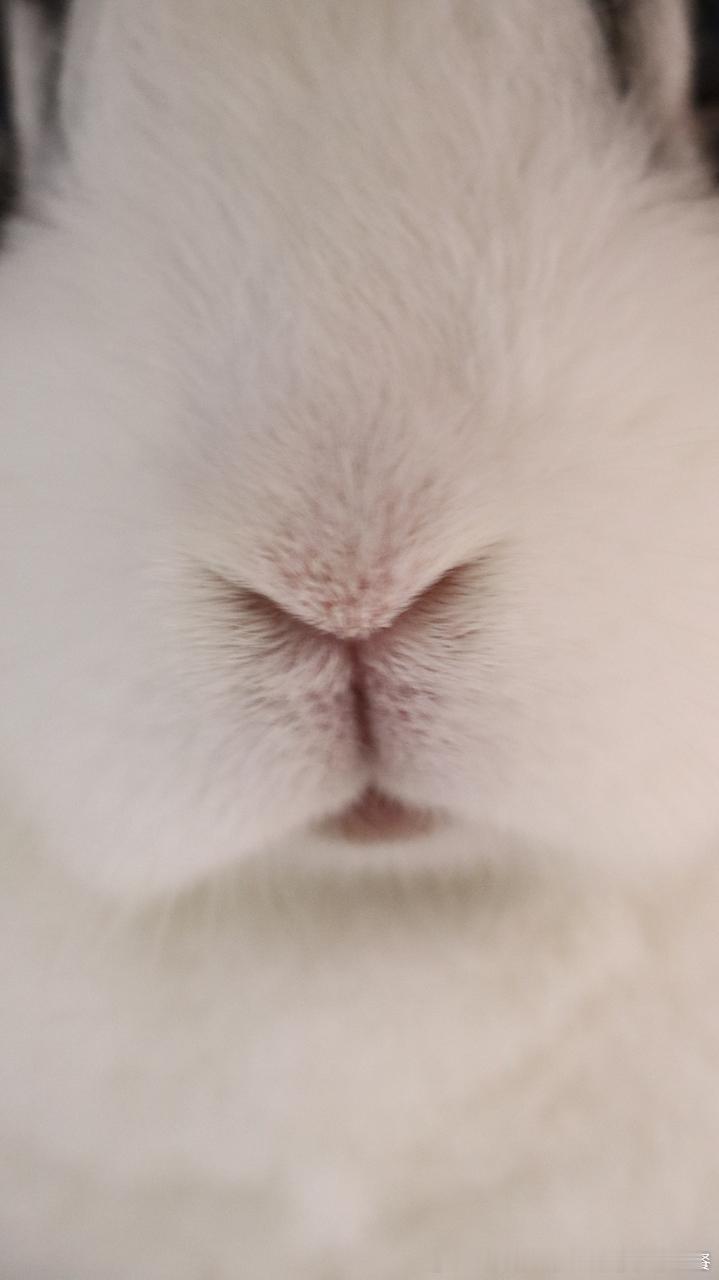 15008🐇【请亲】 ​​​