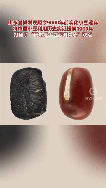 9000年前的小豆！淄博考古发现改写农业史，你吃的豆子有大来头
 
你能想到吗？