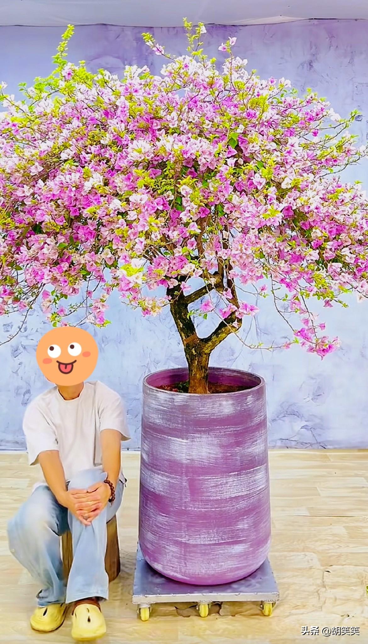 女儿寄去的哑铃和哈密瓜，老爸到底收到了吗？
记录我的2026 
85岁老妈去养老