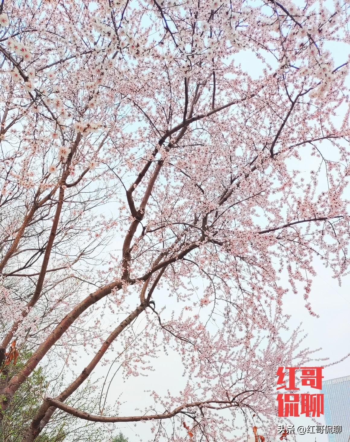 现在一线城市男女青年恋爱问题的确需要引起关心，能留一线的都很优秀，现在除了他们大