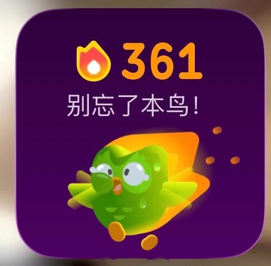 多邻国  361天
