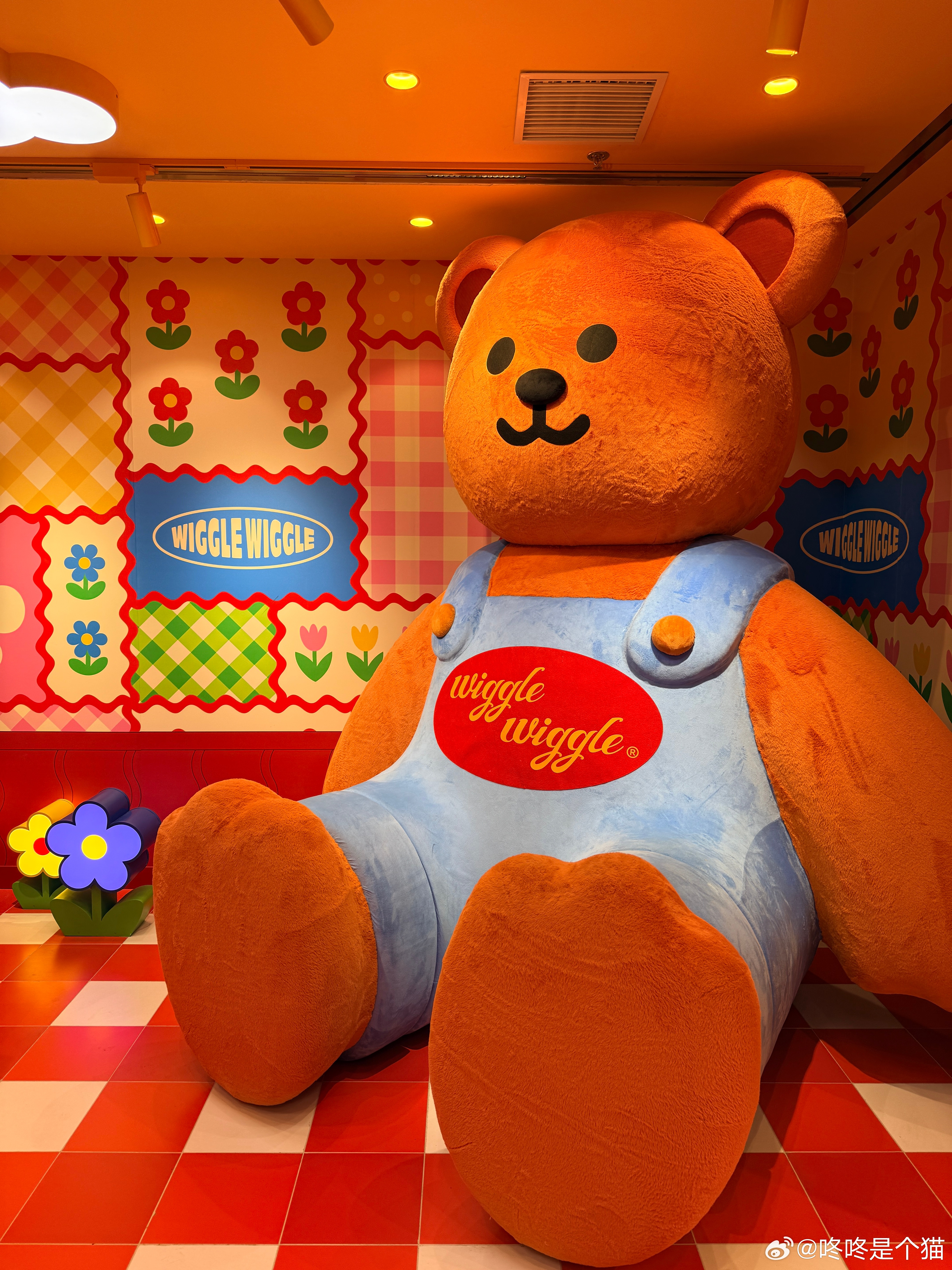 Plog，是一个网络流行词，P是照片，简单来说就是用图片和照片的方式记录生活和日