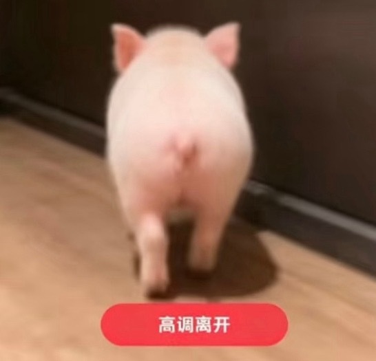 小宝宝今天进妆一拐一拐的我以为又是拍戏的时候受伤藏起来了火噌一下窜上天灵盖了 等