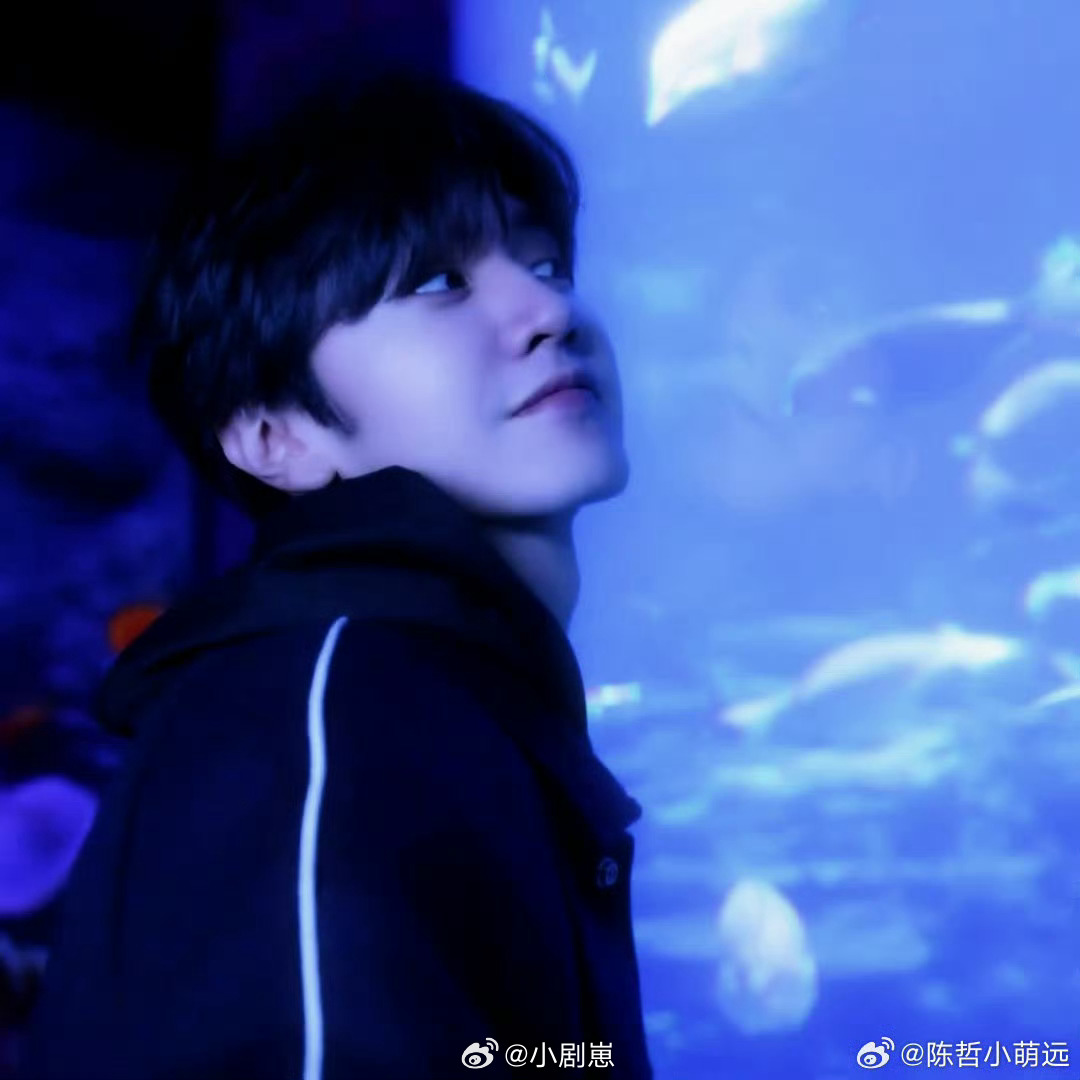 陈哲远锁凶正确率百分百大侦探看《大侦探》被陈哲远圈粉，每次都能精准找到凶手，逻辑