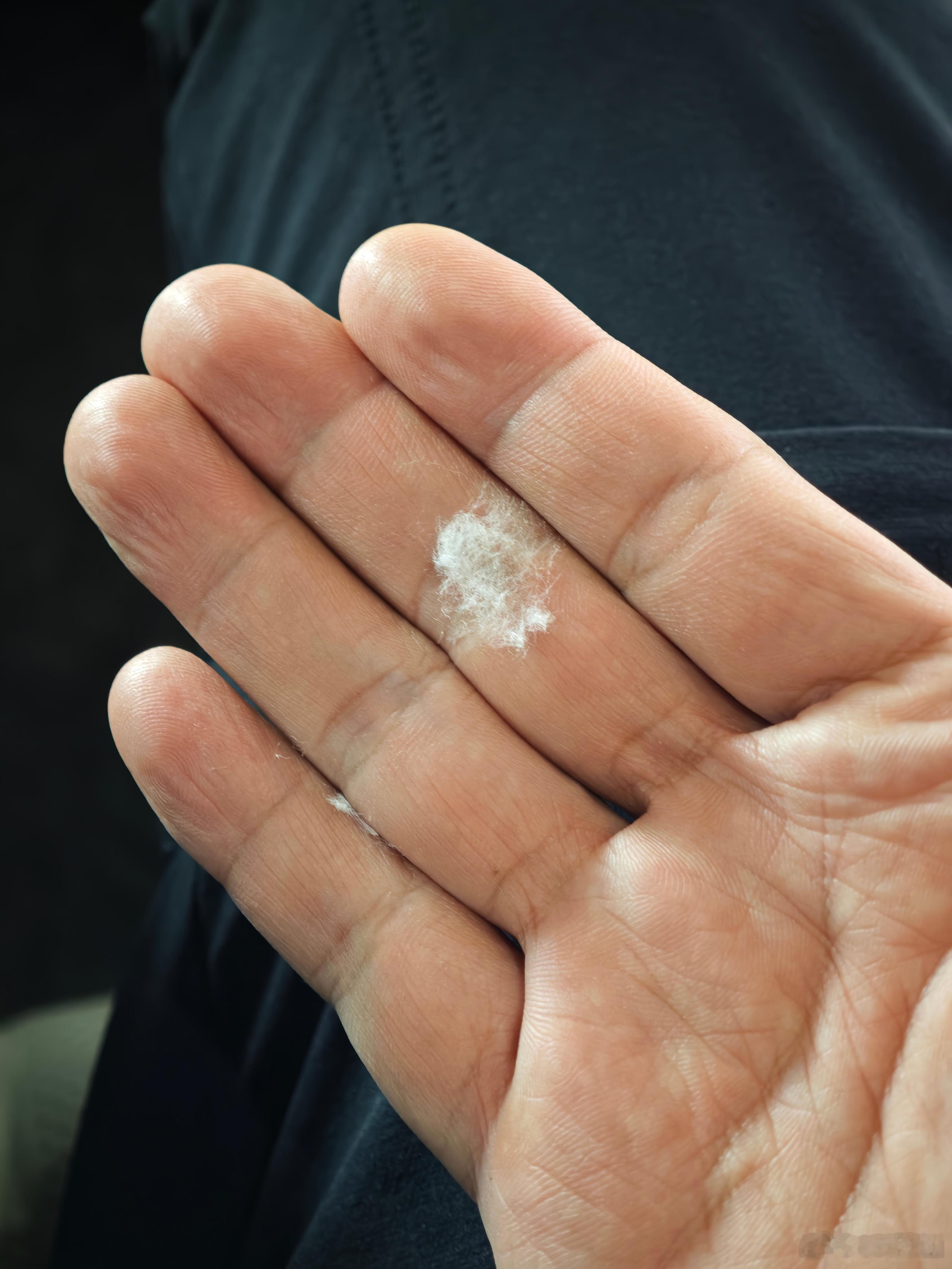 北京又到了漫天柳絮的季节，珍藏的口罩又派上用场了