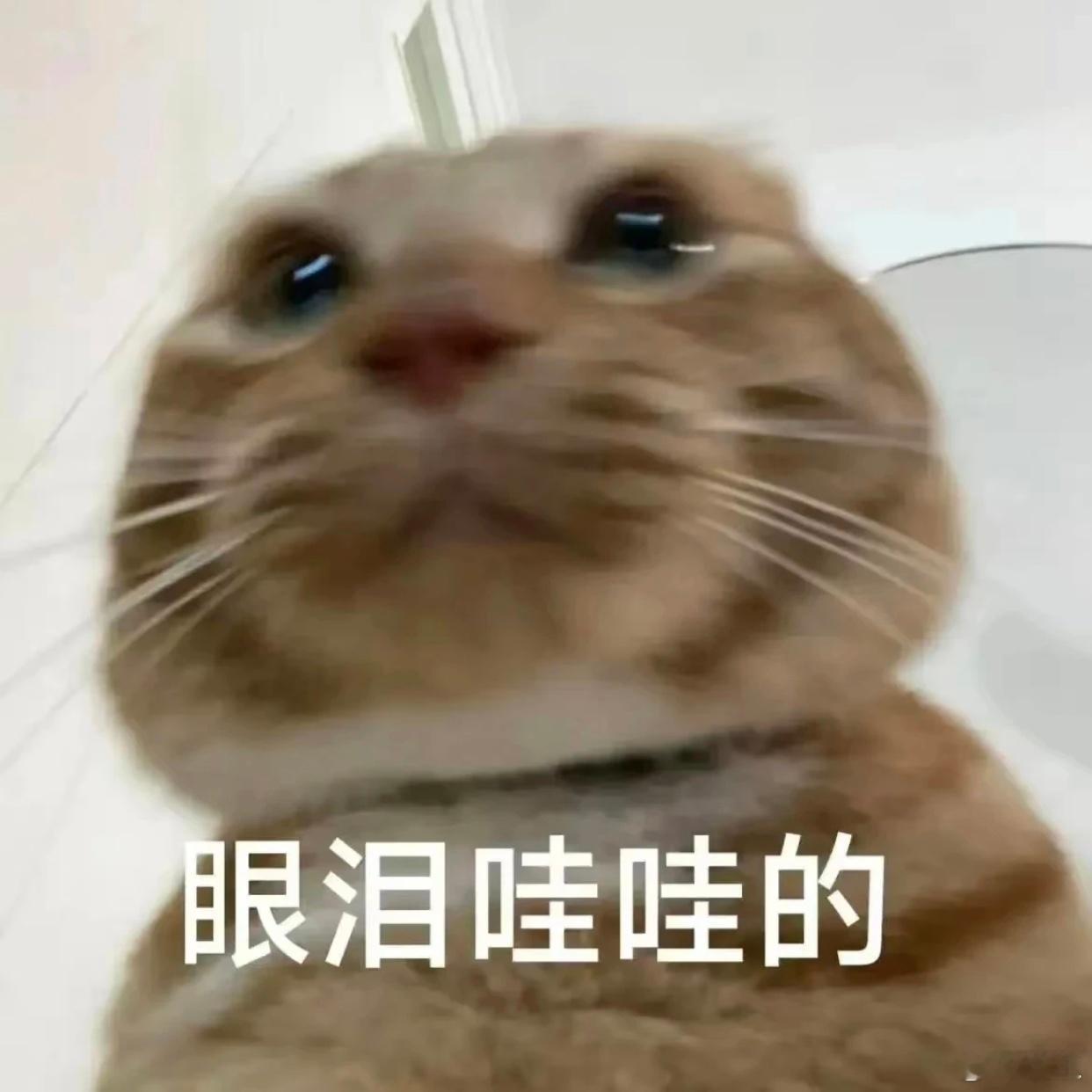 多说一句，挽回失败，90%不是因为不爱，而是挽回方式本身就错了来访者里太多人，一