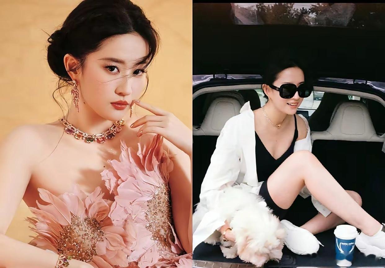 为什么刘亦菲自驾游不堵车？我终于懂了。不是因为这是明星专属，而是我们要学会路线选