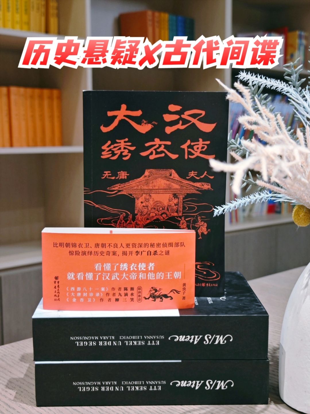 这部历史悬疑小说，看了3天，意犹未尽～