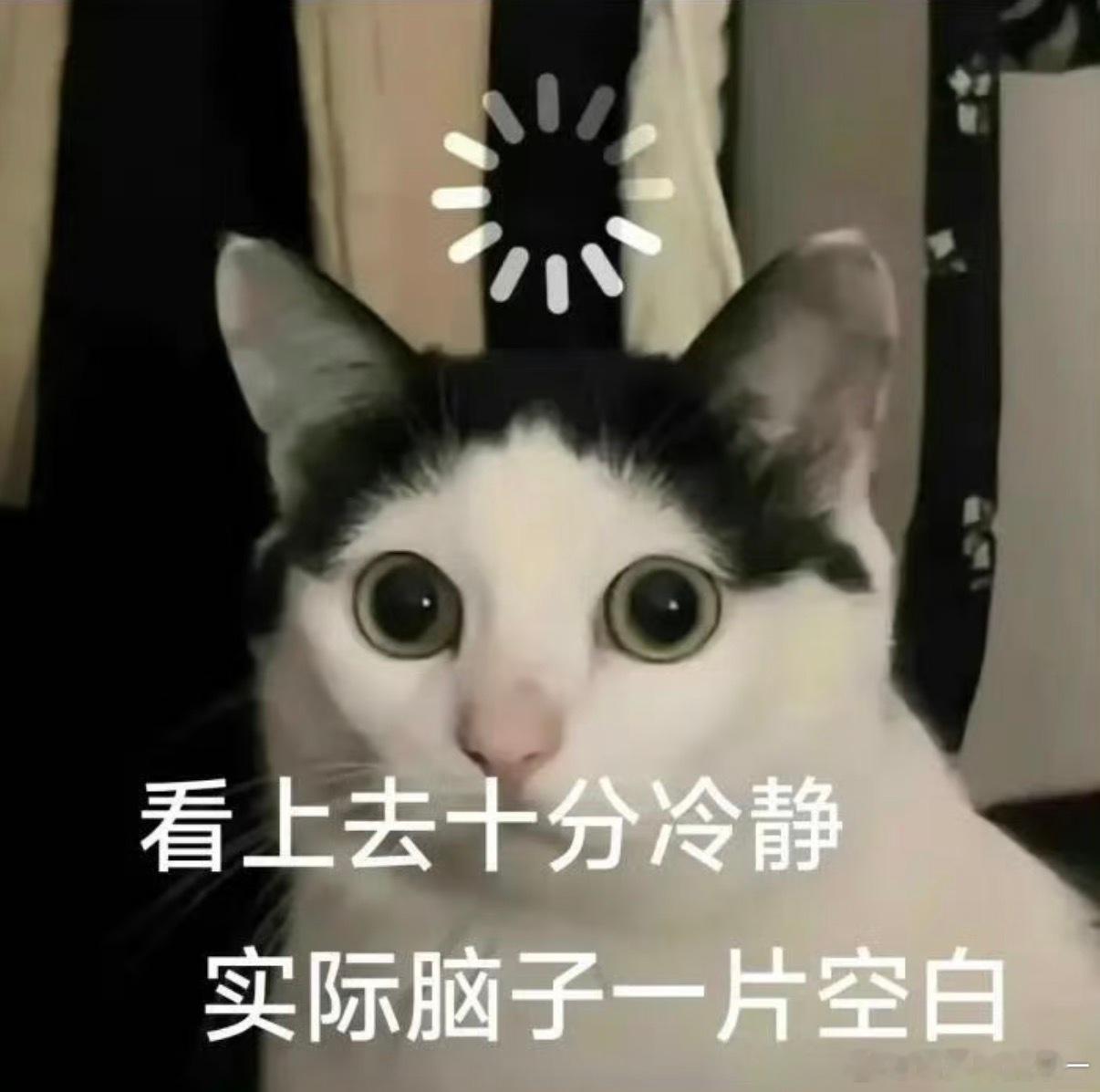 排队登机的时候我以为护照不用了，就给塞到了防盗内裤里，结果突然又说要，我只能在众