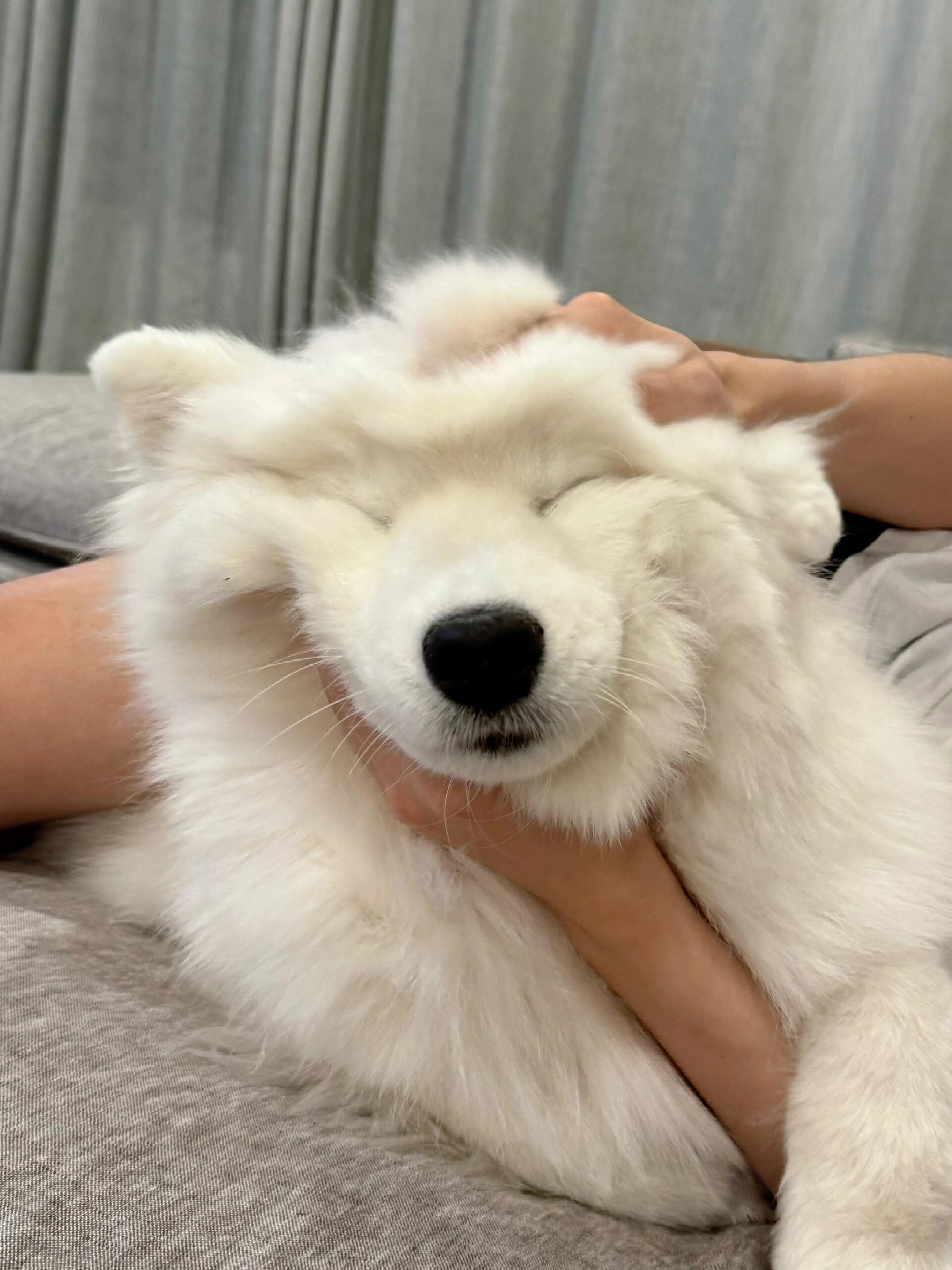 手搓棉花糖来一个 ​​​