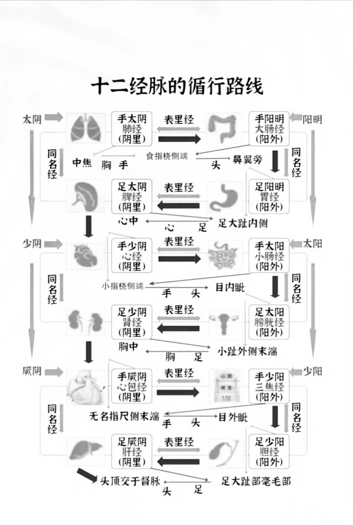 你了解十二经脉的循行规律吗？十二经脉循行的规律可以总结为以下几点：1. 走向规律
