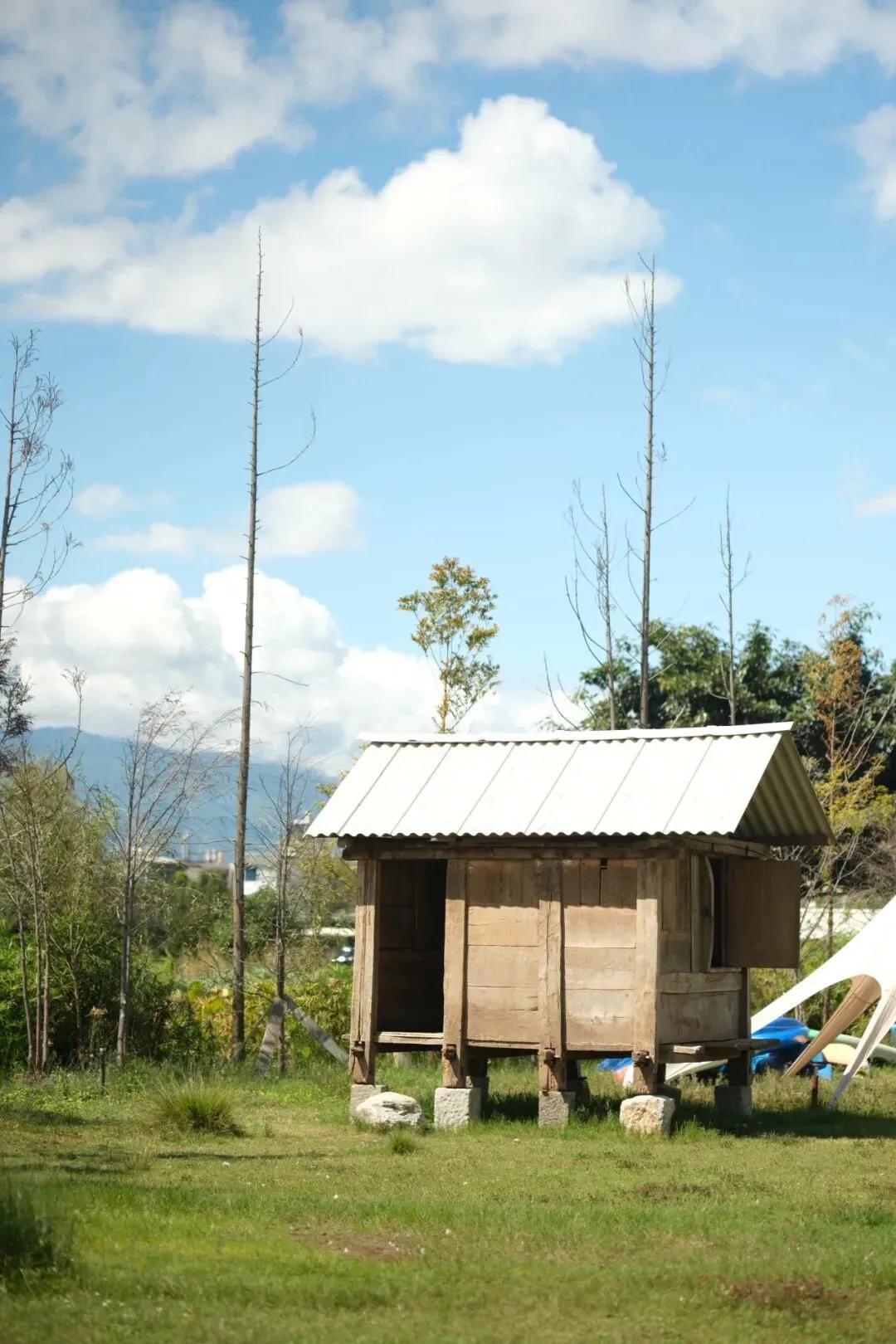 柴米多农场

“从农场到餐桌”的全产业链闭环，扎根大理20年的教父级案例。

柴