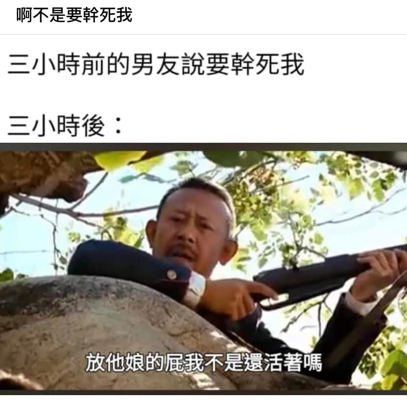 [喵喵] ​​​