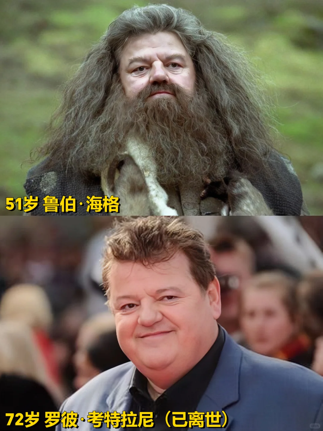23年了，还记得霍格沃茨魔法学校的他们吗❓