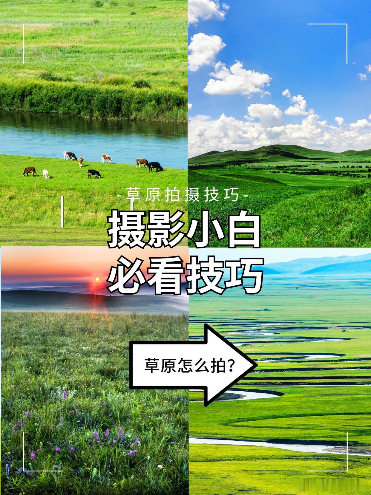摄影技巧拍照姿势 草原拍照全攻略，从时间到构图一次讲清！🌿 谁不想在夏日草原，