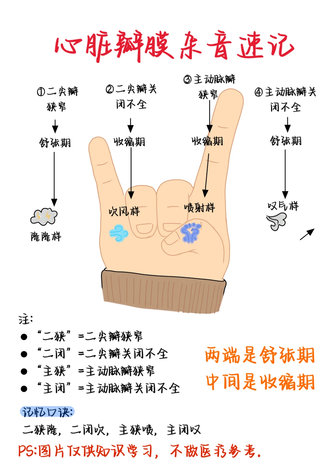 医学生笔记——心脏瓣膜杂音速记