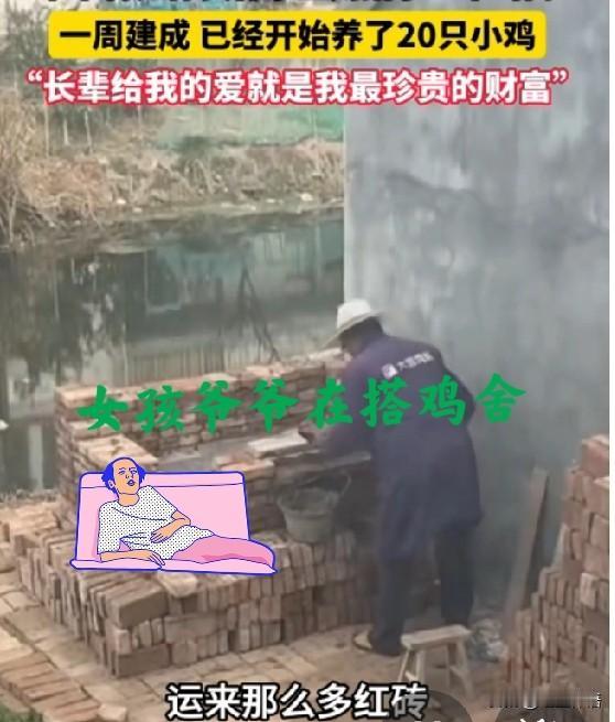 暖哭了！爷爷听说孙女怀孕，一周建成一个鸡窝，养了20只小鸡

看到第一时间一段视