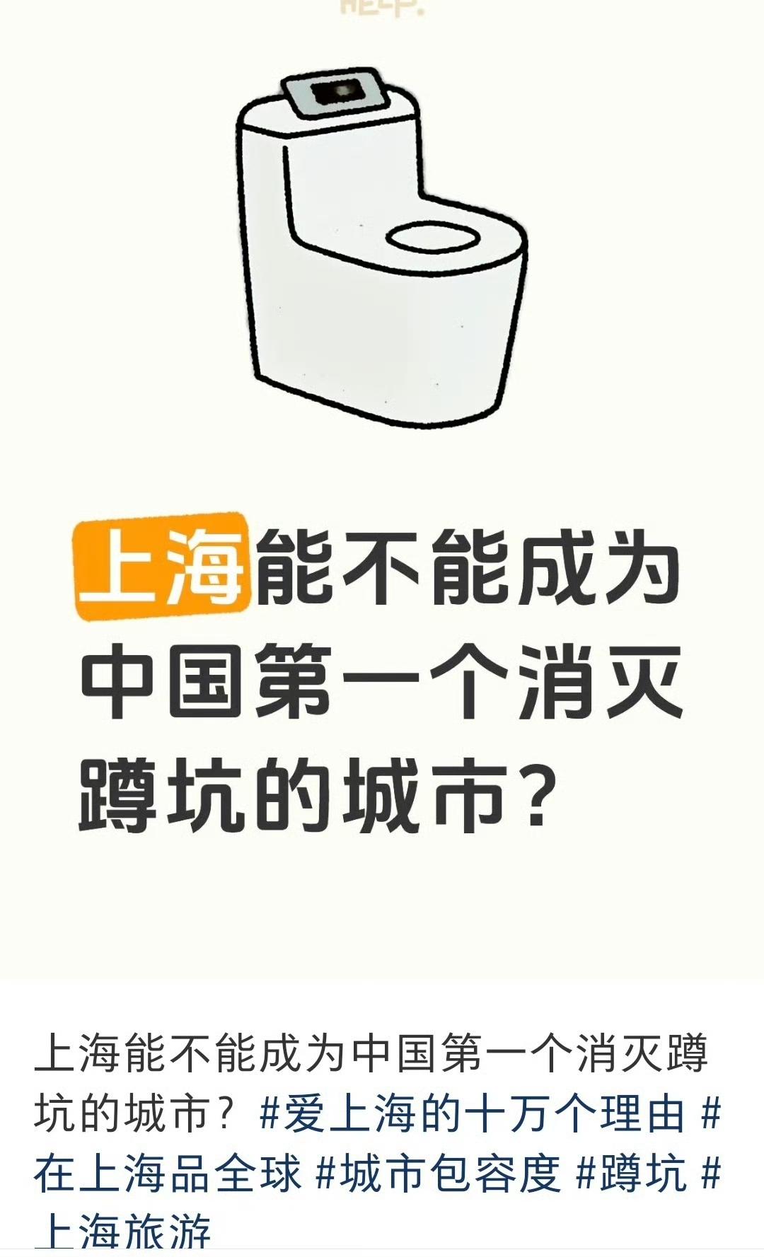 不一定，要是哪天洋人习惯了蹲坑，大上海厕所肯定全是蹲坑