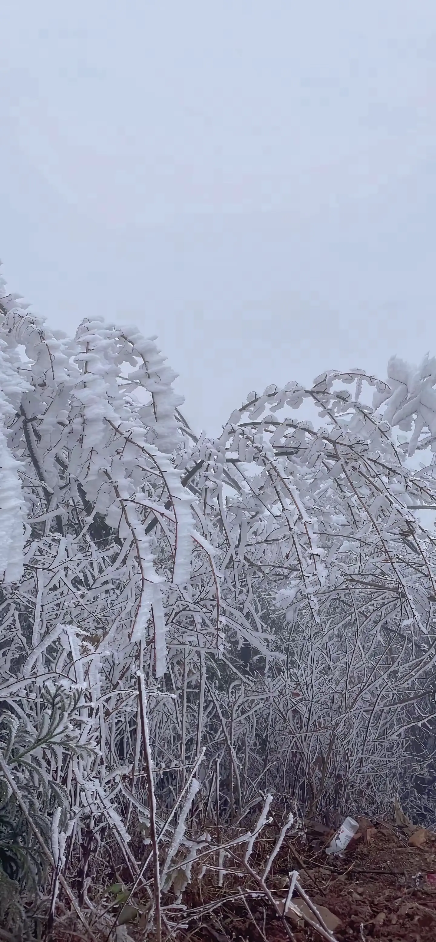 再强势的女人，女人终归是女人😂有时候想去哪里都不敢开车