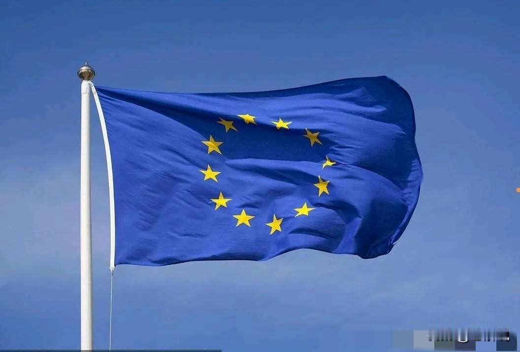 对于欧洲，我们的专家这样的论断说的非常之犀利！研究欧洲的专家周弘表示，欧洲面对美