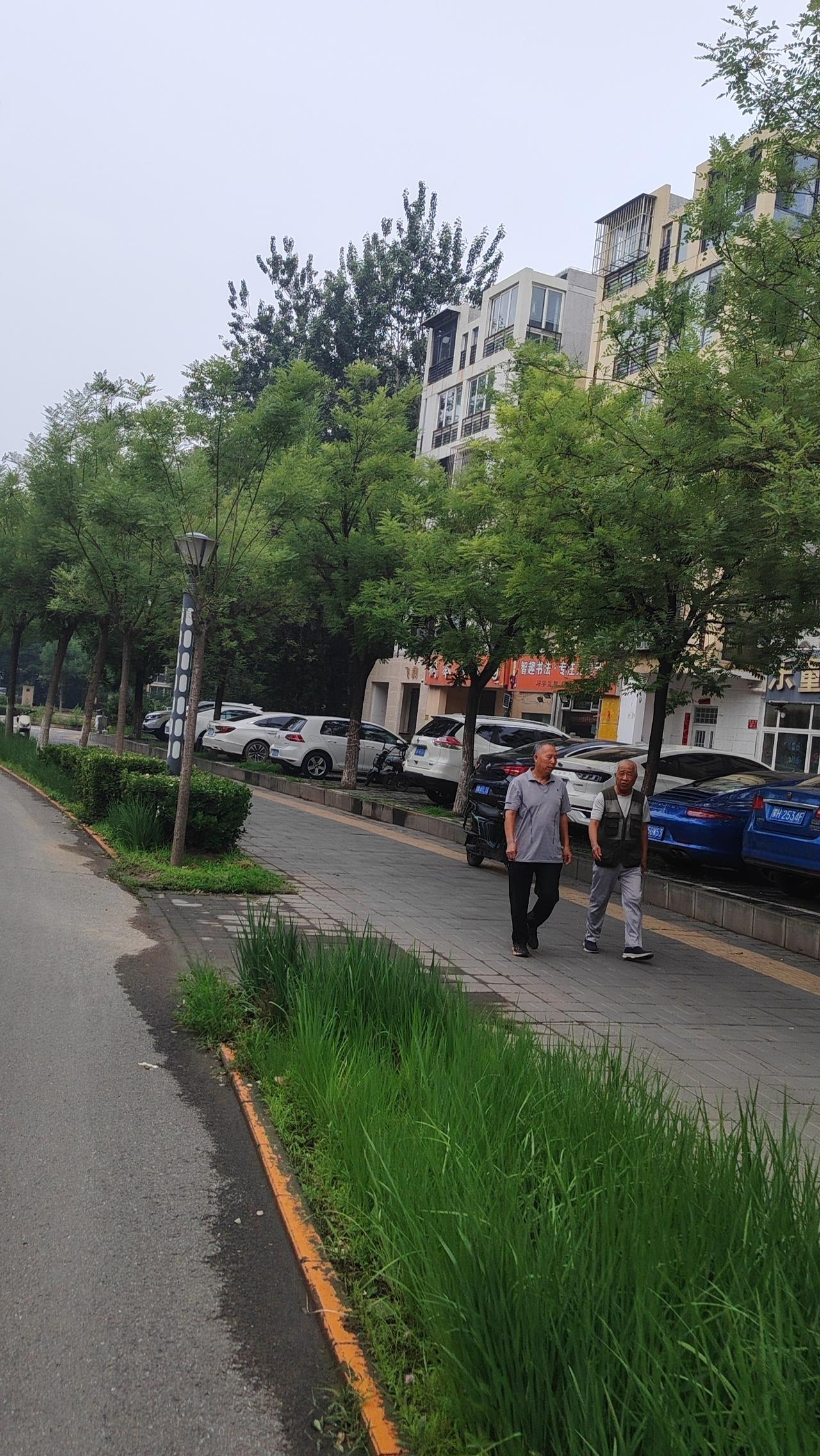 祖父一生与土地为伴，春耕夏耘，秋收冬藏，将脊梁弯成了一座山；祖母不识大字，却用一
