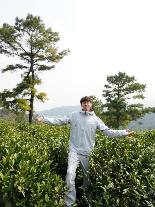 苏州早春茶园徒步🍵绿意治愈森林