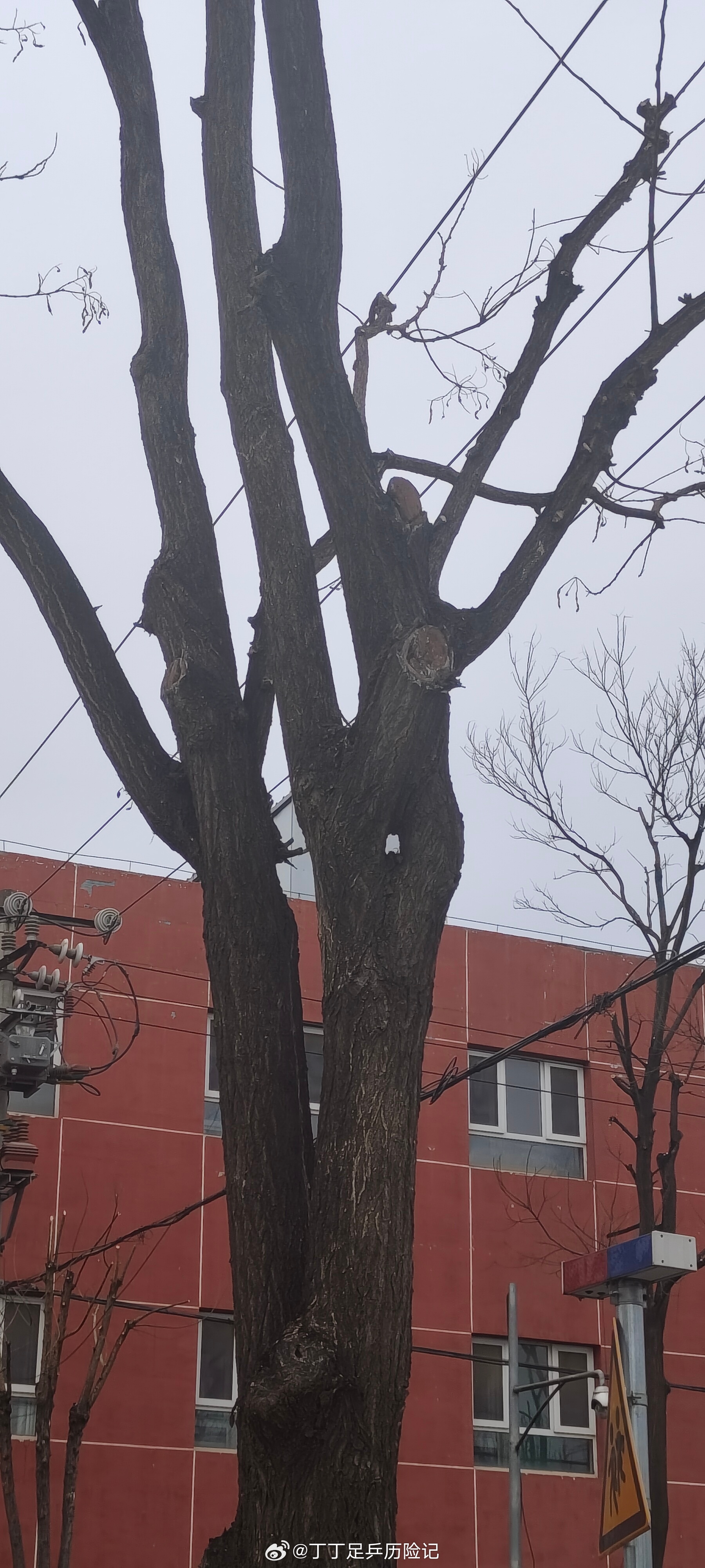 丁丁足乒历险记 我跟你们说，啥时候都不能着急，着急了心就不稳了，啥事都别着急，焦