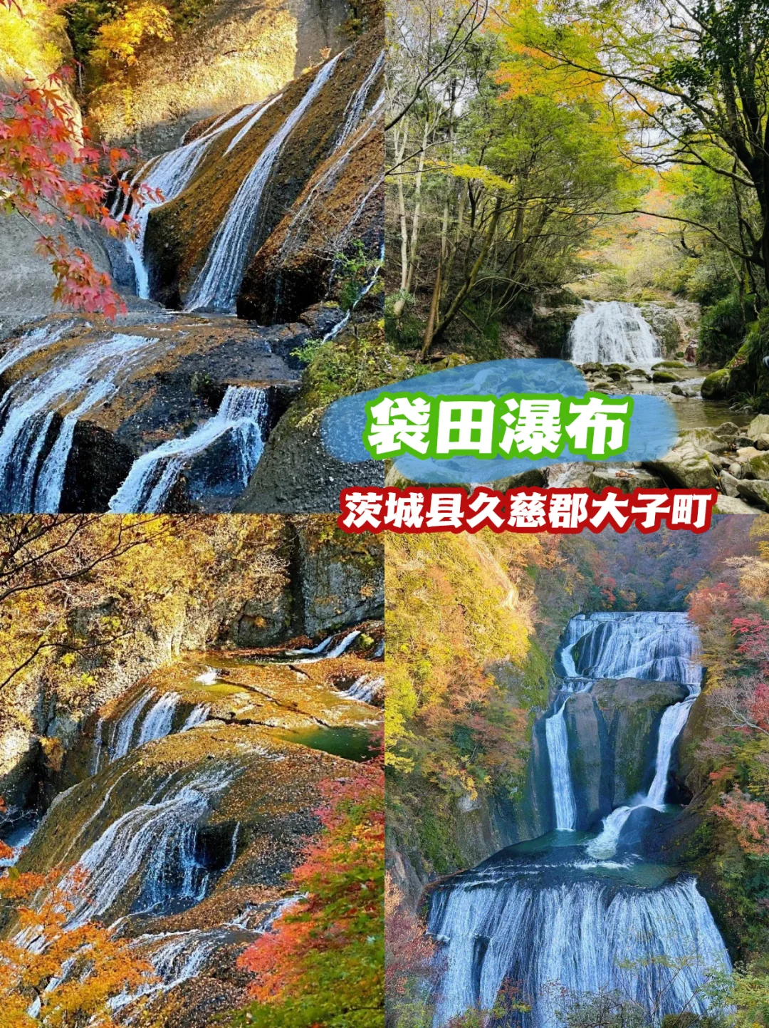 东京以及周边赏枫好去处！红叶时节超赞景点