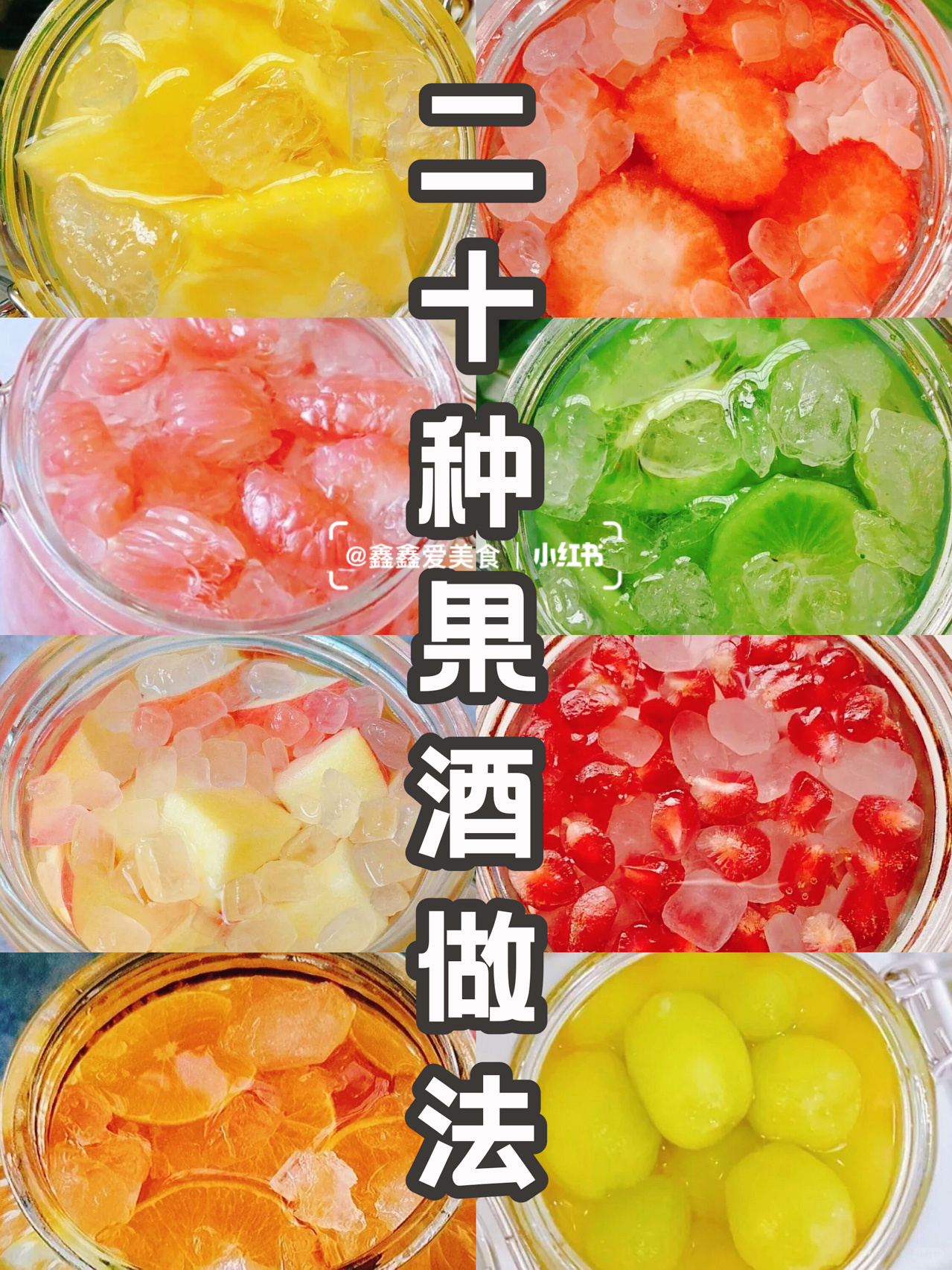 🍭二十种果酒做法❗️🍍🍇🍎🥝美容养颜抗衰老