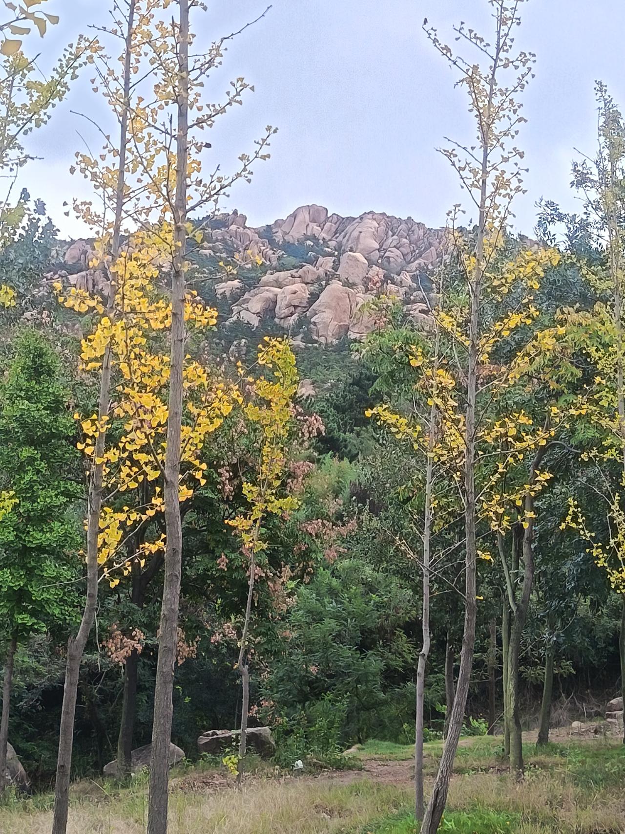 分享一张你手机里最近拍的风景照