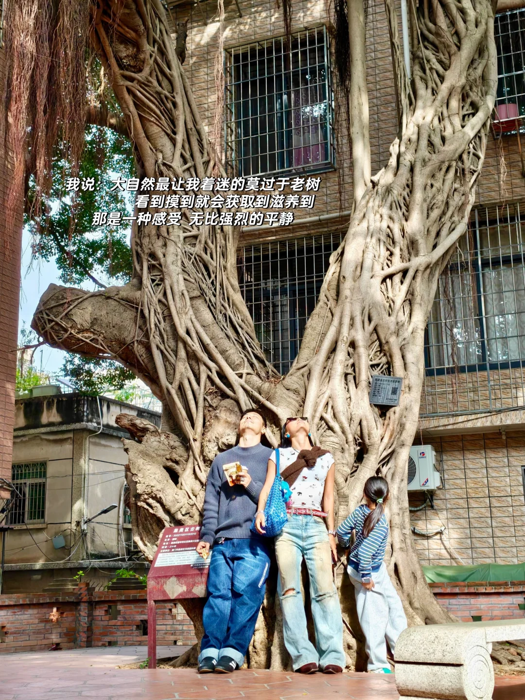 一位女舞者的日常plog