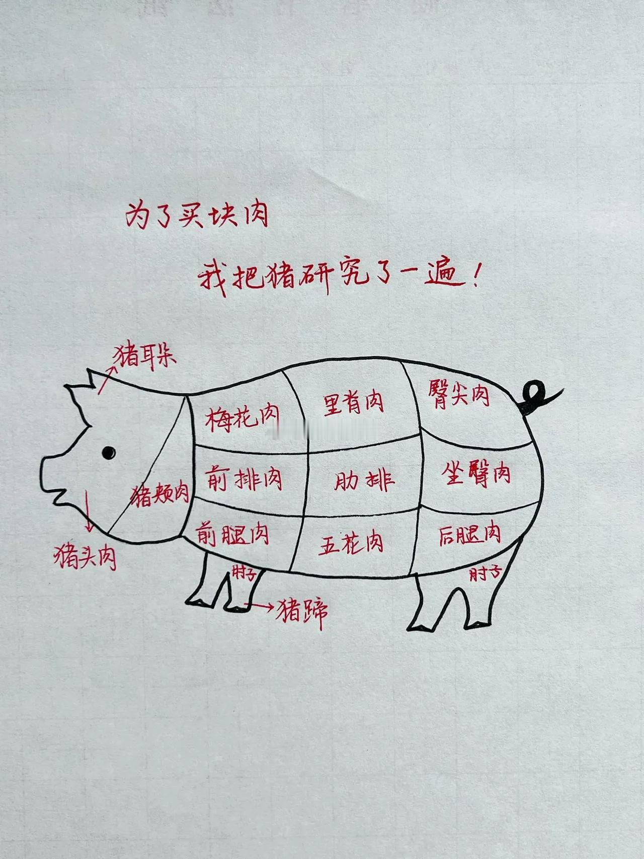 从此买肉不求人。一张图，教会你买猪肉😂猪肉部位科普 涨知识每天学习一点点 内容