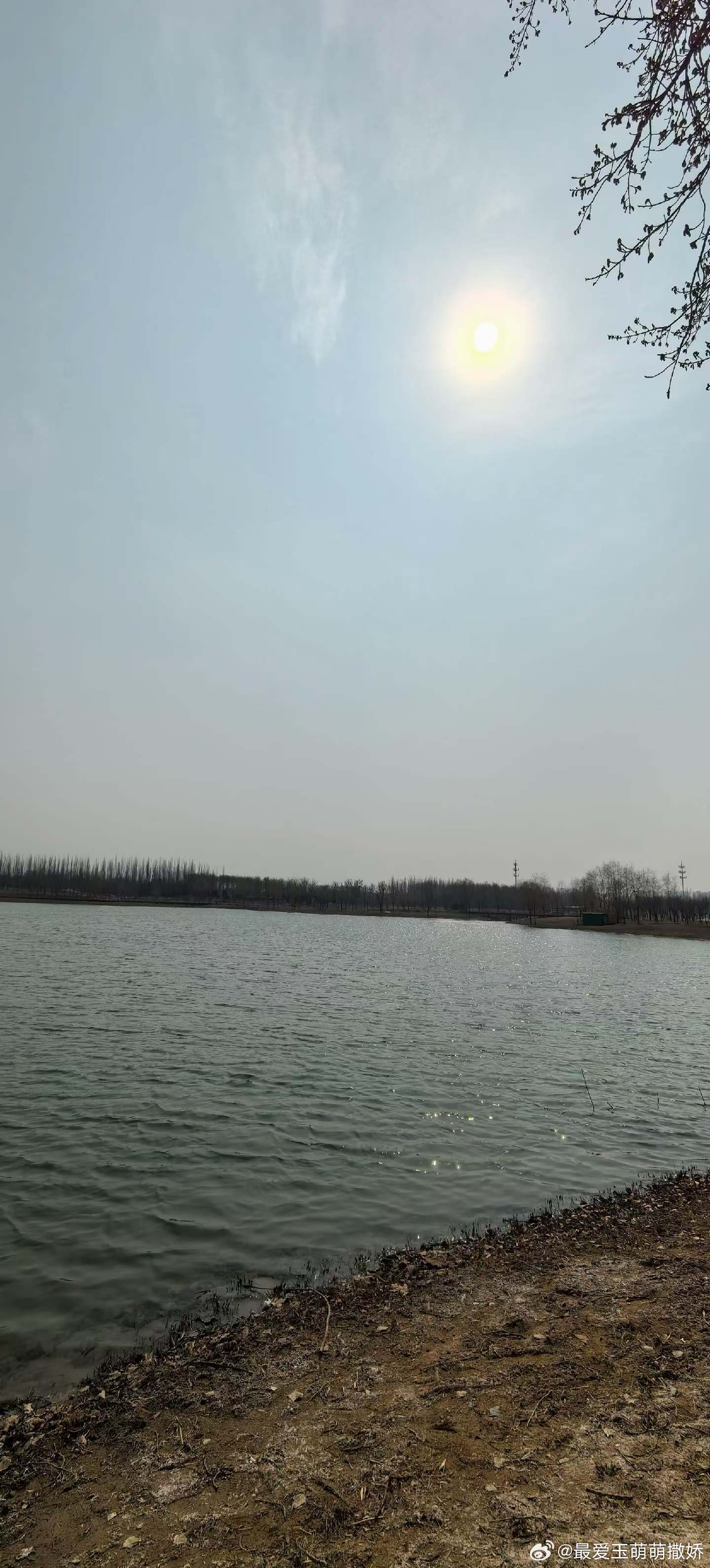 生活手记所爱皆所得，爱如长情，核心在于现实中的坚持和双方共同经营。感情里没有天生