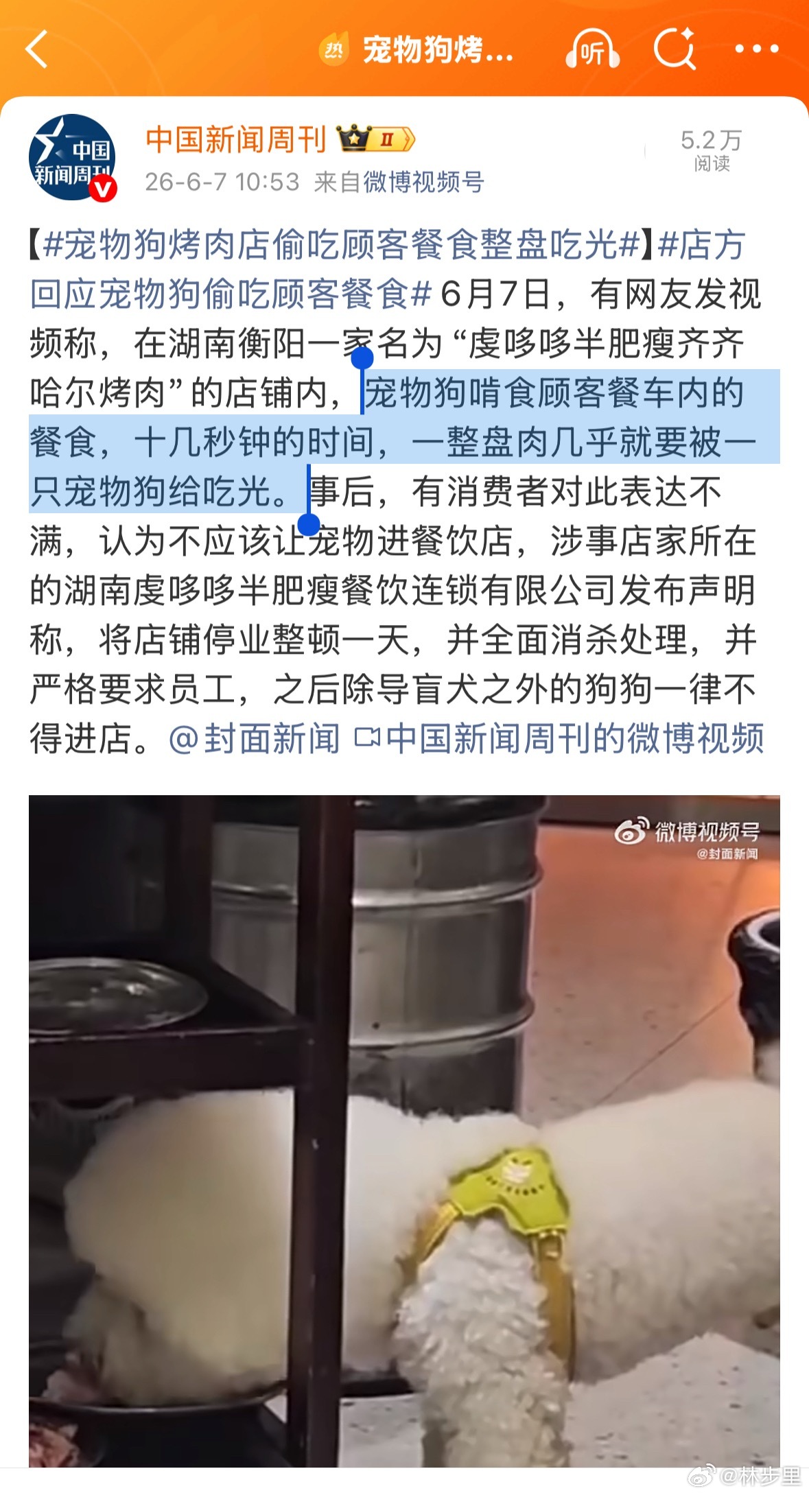 宠物狗烤肉店偷吃顾客餐食整盘吃光作为有十几年养狗经验的人，真的建议商家们做好人宠