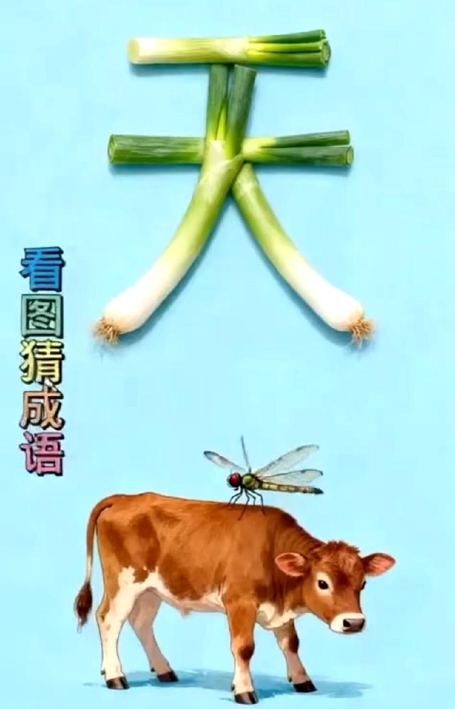 看到图我直接懵了！这三个元素拼出的成语，评论区大神快来给我上一课！