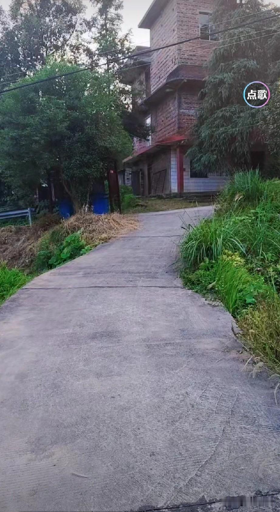朱博士房子这风水布局不行呀！门前两棵大树把阳光都挡了，难怪诸事不顺。
房前还摆几