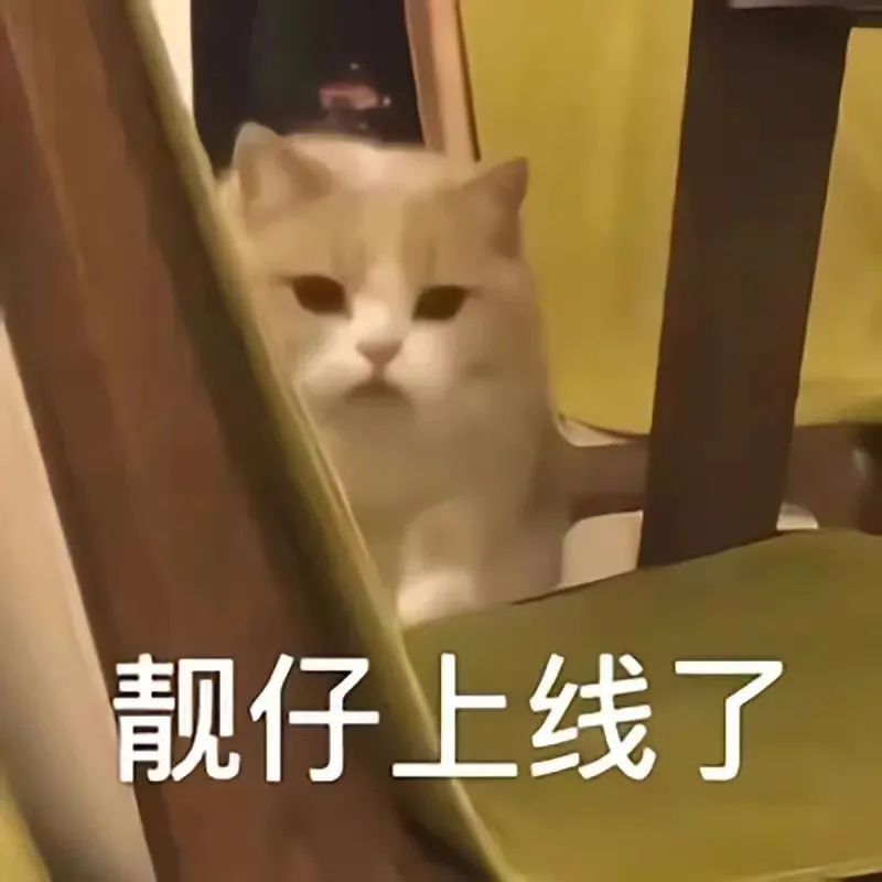 热门抖音表情包：有空一起拉屎 更新不易，拿图点赞[心]更多表情包请看主页[心] 