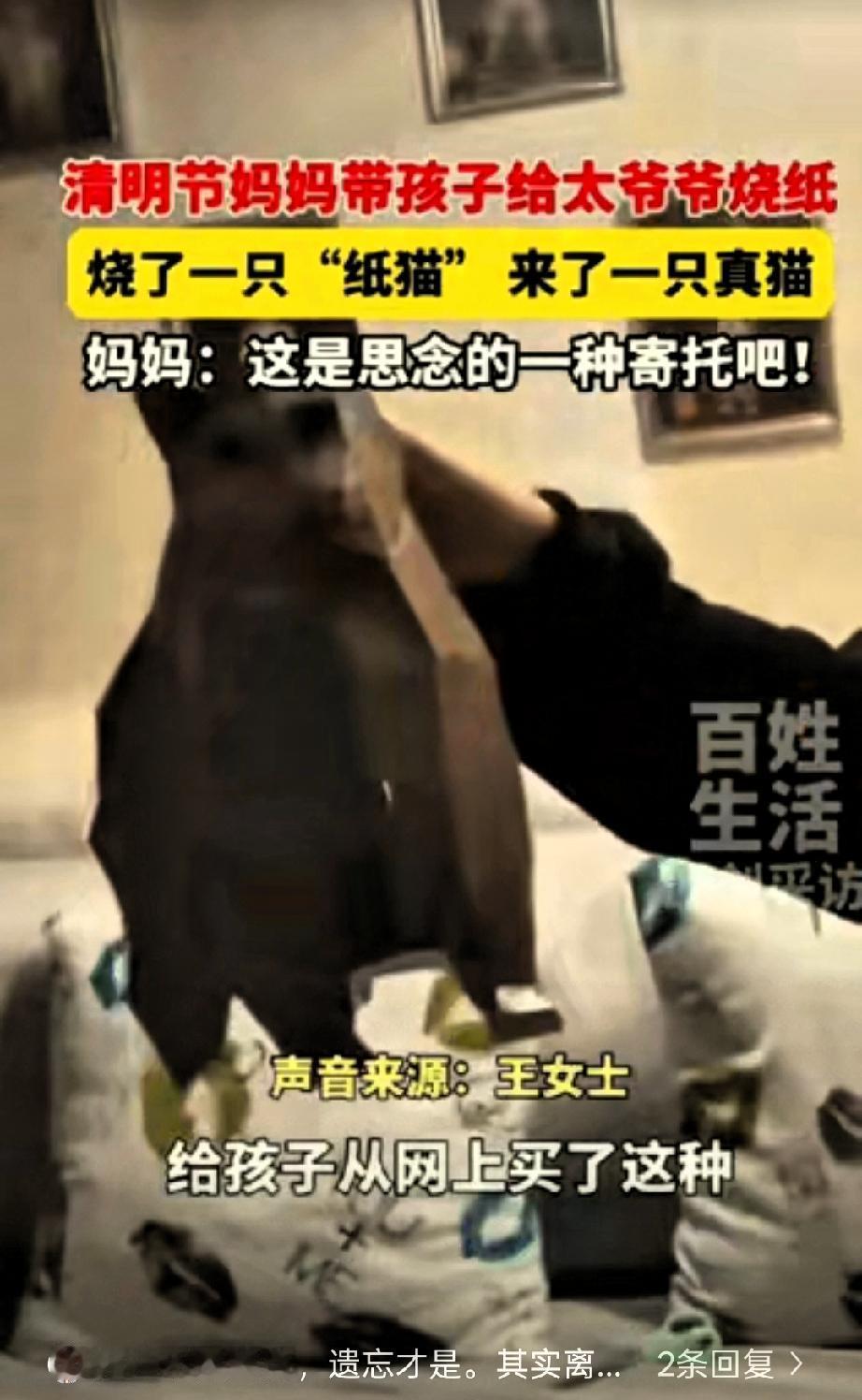 科学解释不清了！安徽，13岁男孩给去世的太爷爷烧纸，特意烧了一只纸猫，怕老人在那