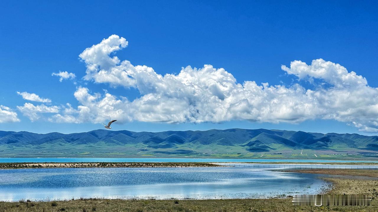 必须有啊，还很多！尤其是西北自驾路上拍的风景，不少都是随手抓的惊喜。
这张青海湖