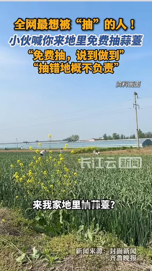 “这回真不是谣言！”近日，河南中牟县，一男子向全网发出邀请，欢迎大家来他的地里抽