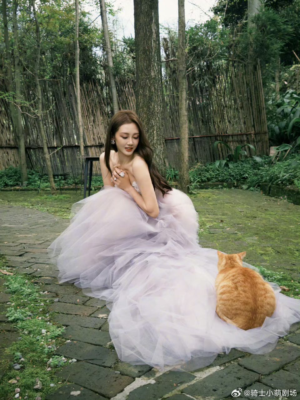 苗苗回应种菜获得大家喜爱苗苗带着羊兔鸡出了一次通告田园气息满满的通告格外清新，不