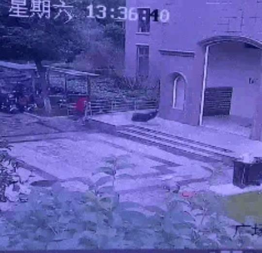 “太缺德了！”1月31日，湖北黄石，一老太搬椅子时，懒得下楼，就把11公斤重的皮