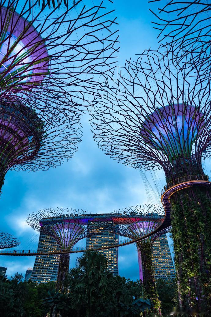 1月17日新加坡《联合早报》发文：委内瑞拉给我们的一个重要启示是，新加坡要好好生