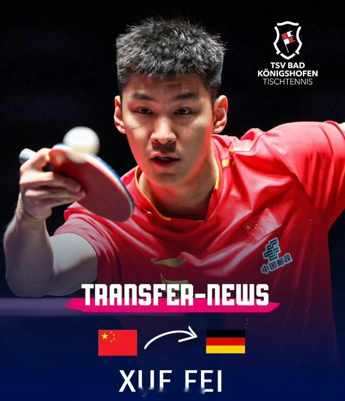 薛飞加盟德甲挺好的在国内卷不起 