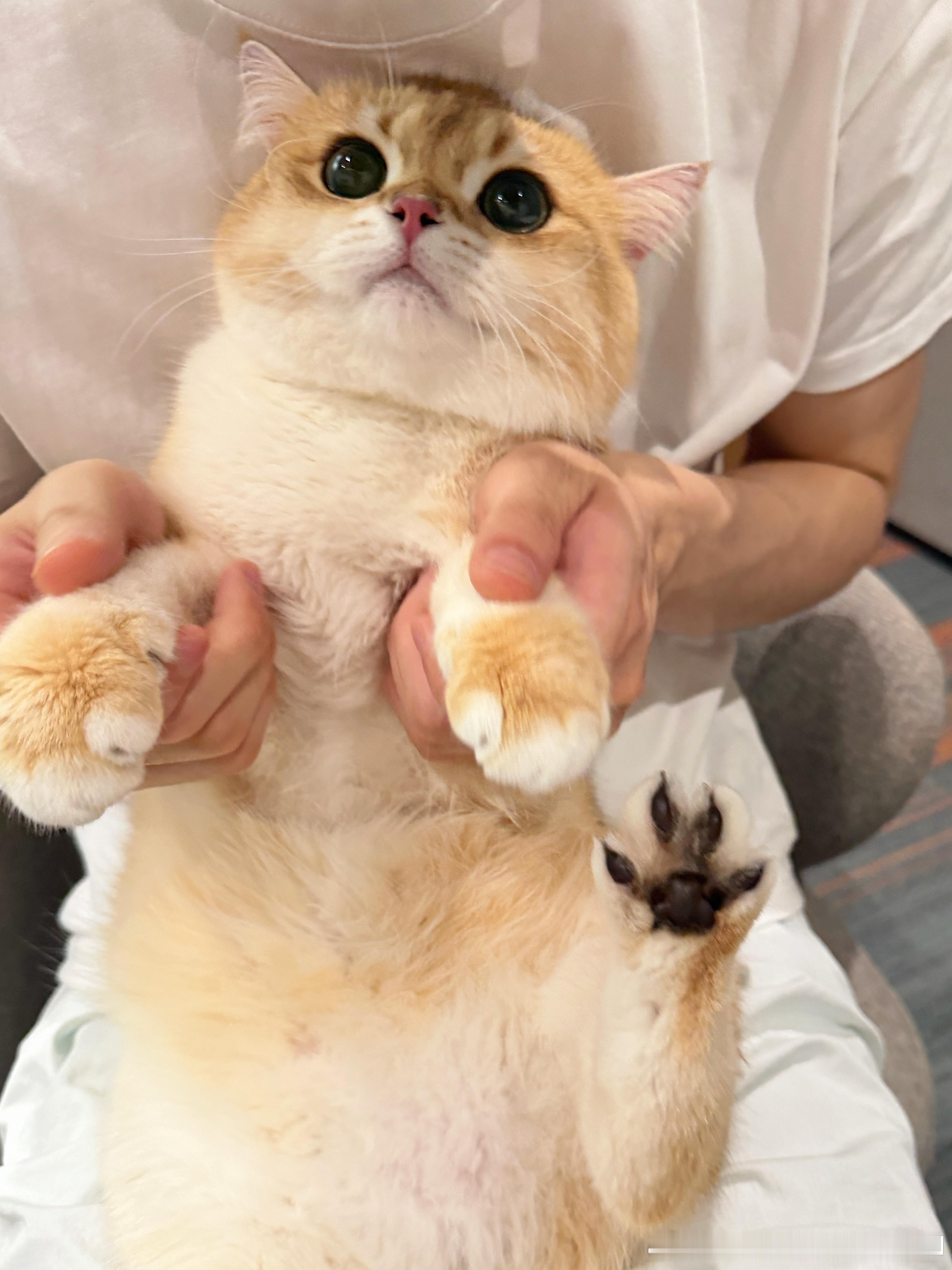 十九是不是瘦了啊 