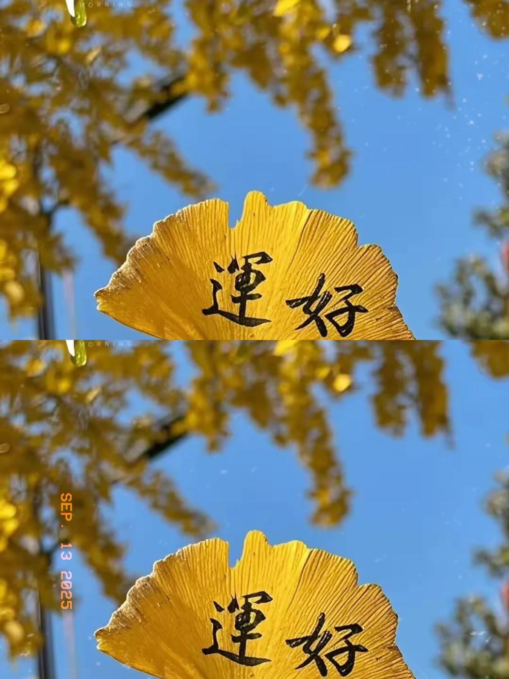 狐狸尾巴终究藏不住！王辰被免去中日友好医院院长职务，这事儿远不只是一个职位变动，