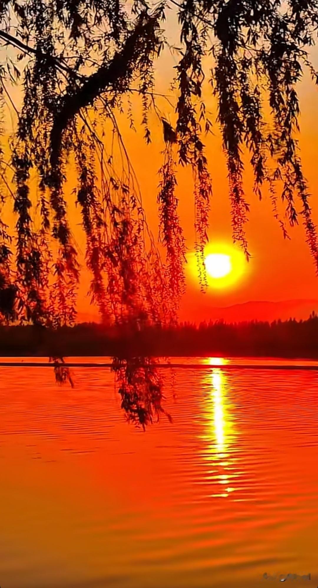 七律·醉美夕阳
霞铺远水半江红，
归雁斜穿锦浪中。
牧笛吹残云外路，
渔舟载尽岭